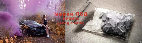 сатива Бугульма