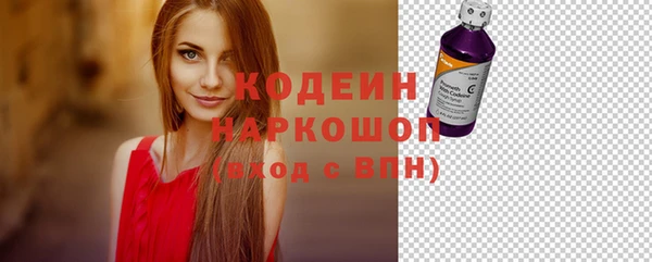 метадон Богданович