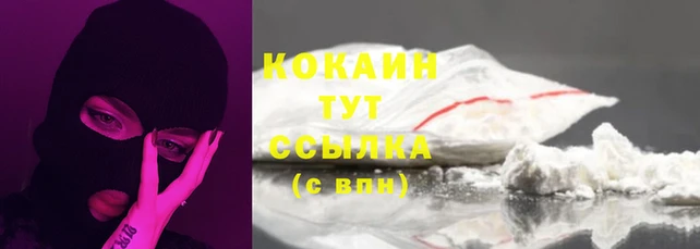 мдпв Богородицк
