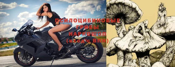 индика Балахна