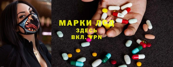сатива Бугульма